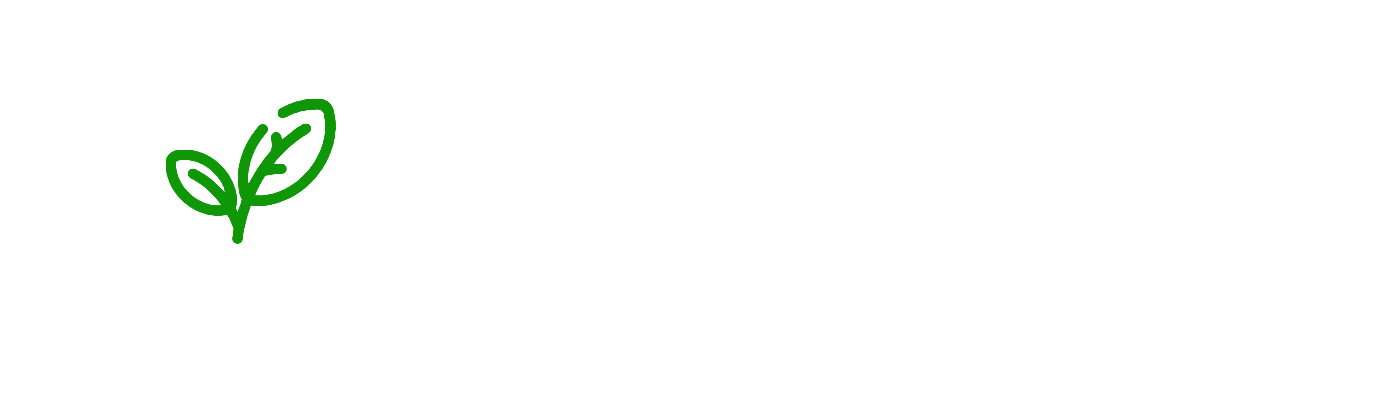 XL Energy